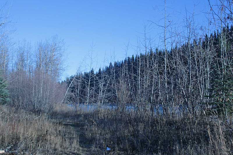 view of property along bank