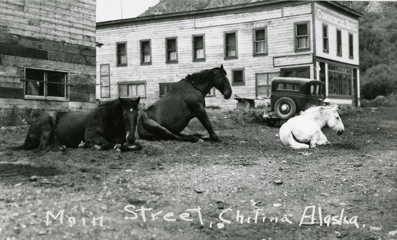 Commercial Hotel & horses