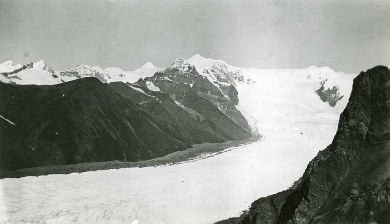 Root Glacier View