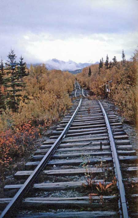 Abandoned tracks near Strelna 1960